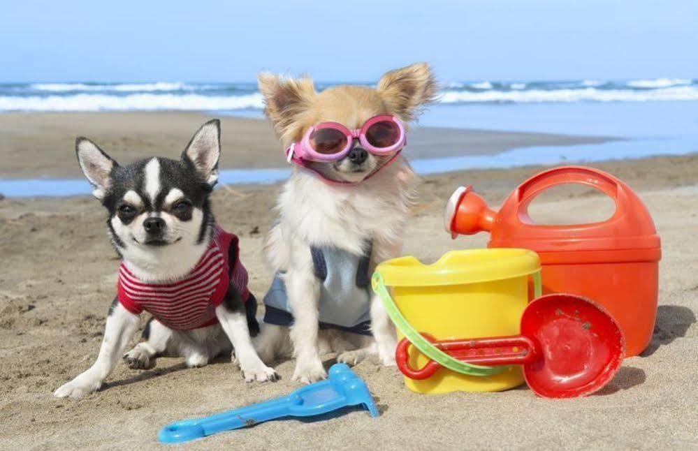 Enjoy Apart Centro Y Playa Victoria 马拉加 外观 照片